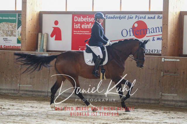DKP44057 | Turniersportfotografie; Pferdefotografie; Dressurfotografie