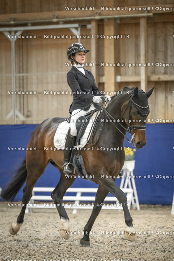 _D5A7594 | Emotionale Pferde- & People-Fotografie rund um Heidelberg, Leimen & Umgebung. Natürliche Fotos von Pferd, Mensch & Familie. Jetzt Termin sichern!