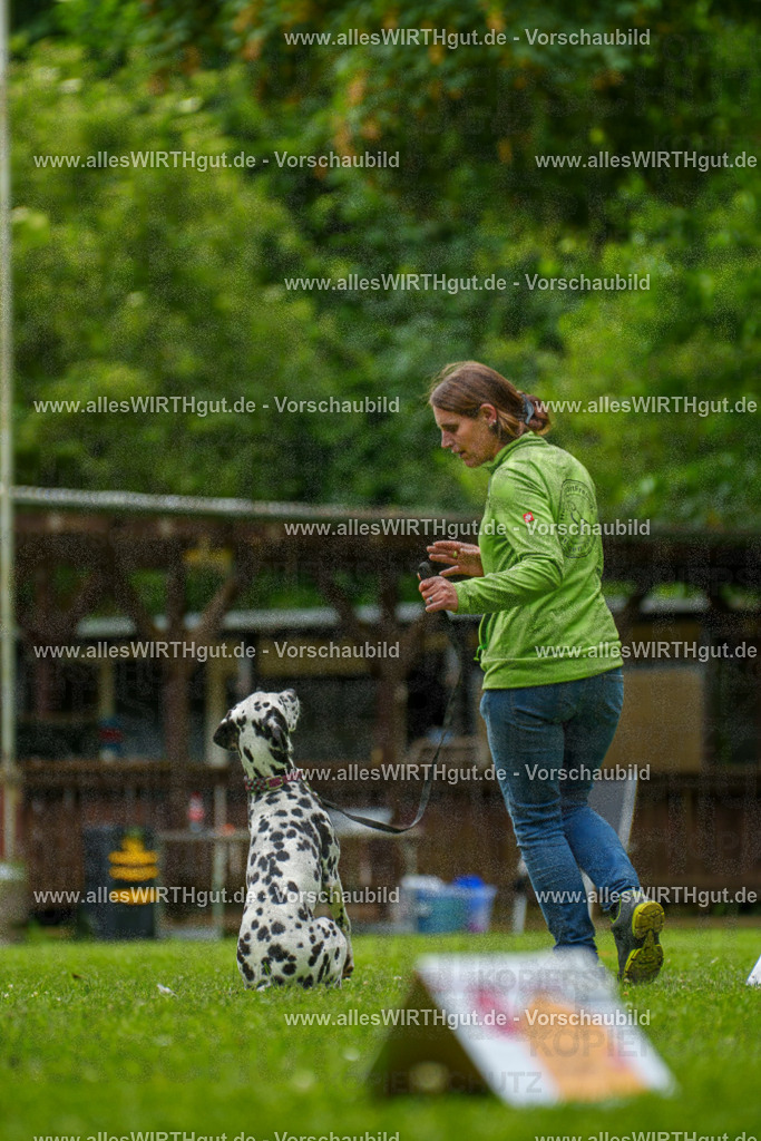 @allesWIRTHgut_Tierfotografie - www.allesWIRTHgut.de - 135213-7R500104 | Professionelle Tierfotografie in Mönchengladbach von Daniel Wirth (allesWIRTHgut). Liebevolle & natürliche Bilder von Hunden & Katzen für unvergessliche Erinnerungen.