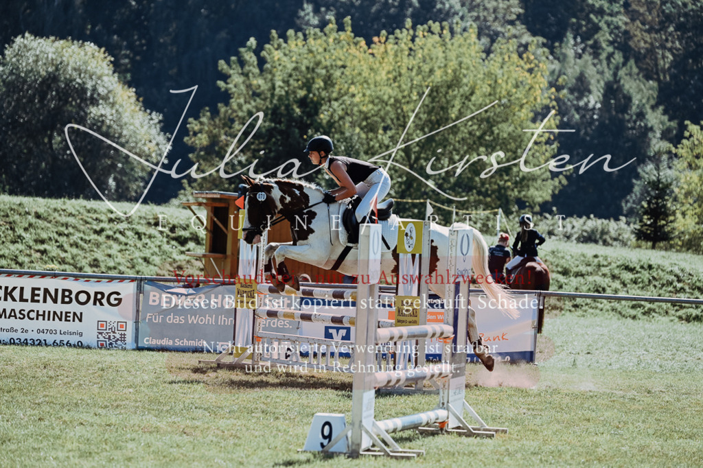 DSC_6064 | Pferde- und Turnierfotografie in Westsachsen. Pferdeportraits, Auftragszeichnungen und intuitive Kunst.