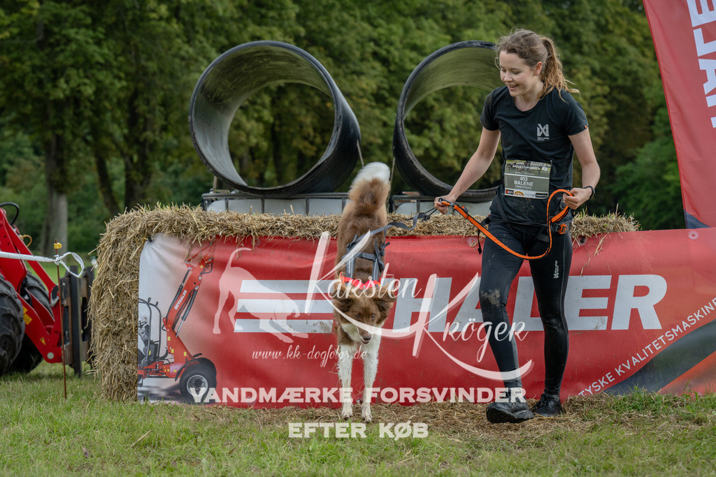 1022_ZZ91998 | kk-dogfotos