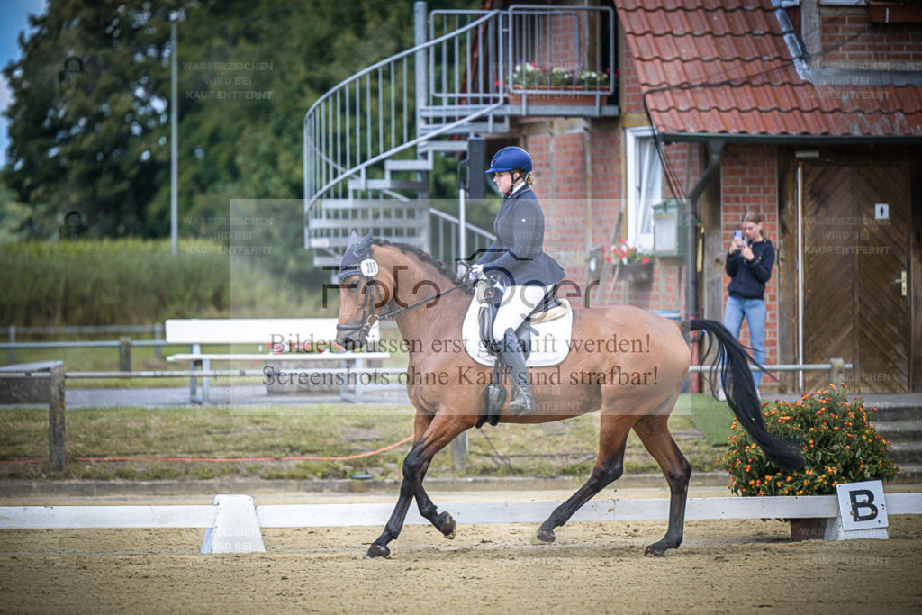 DOS_3971 | Entdecke hochwertige Reitturnierfotos von Foto Oger. Professionell, emotional und authentisch – jetzt Lieblingsmomente im Shop bestellen. - Realisiert mit Pictrs.com