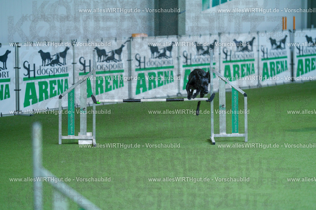 @allesWIRTHgut_Tierfotografie - www.allesWIRTHgut.de - 2604261352-7R502884 | Professionelle Tierfotografie in Mönchengladbach von Daniel Wirth (allesWIRTHgut). Liebevolle & natürliche Bilder von Hunden & Katzen für unvergessliche Erinnerungen.