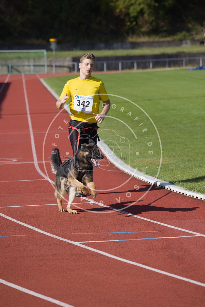 0L8A9043 | Hundefotografie, Tierfotograf, Pfotenfotografie, Fotoshooting Hund, Hunde Portrait, Hundesport, Hundeportraits, Heideshooting, Hunde, Sportfotograf, Hundefotograf, Turnierhundsport, THS,  - Realisiert mit Pictrs.com