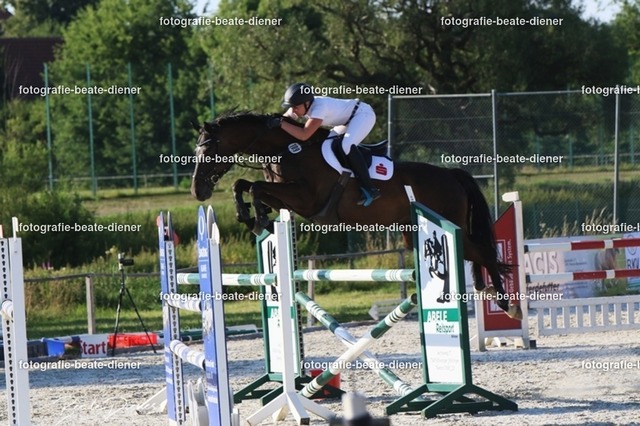 OHT 2022 Röhlingen (204) | Fotografie, Tiere, Hunde, Katzen, Pferde, Sportfotografie, Fotosession, Tierfotografie, Turnierfotografie, Fotografin, Fotograf - Realisiert mit Pictrs.com