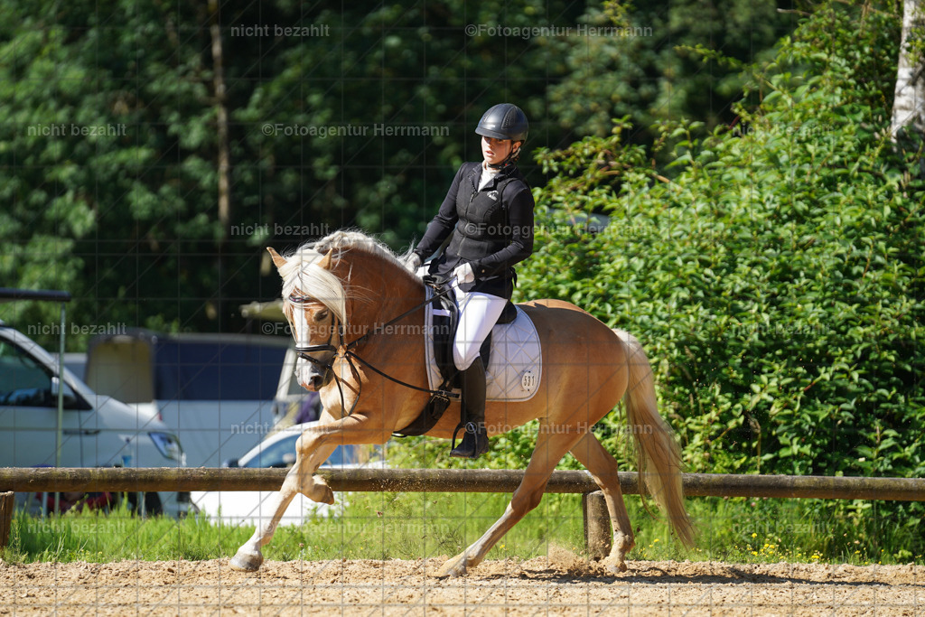 20240706-FAH04760 | Grafing Turnierfotos, Reitverein Ebersberg, Turnierfotografen Bayern, reitsportbilder, Pferdefotograf, reitsportfotograf, Sportbilder, Reitsportfotografie, Fotoagentur Herrmann, Turnierfotograf