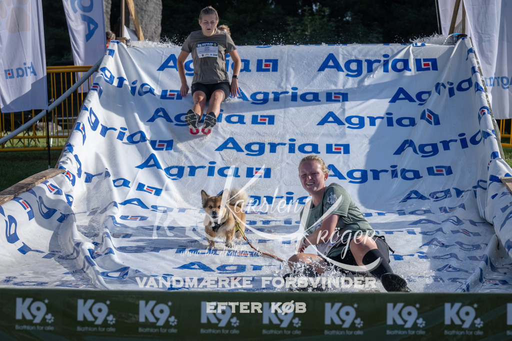 0920_ZZ94996 | kk-dogfotos