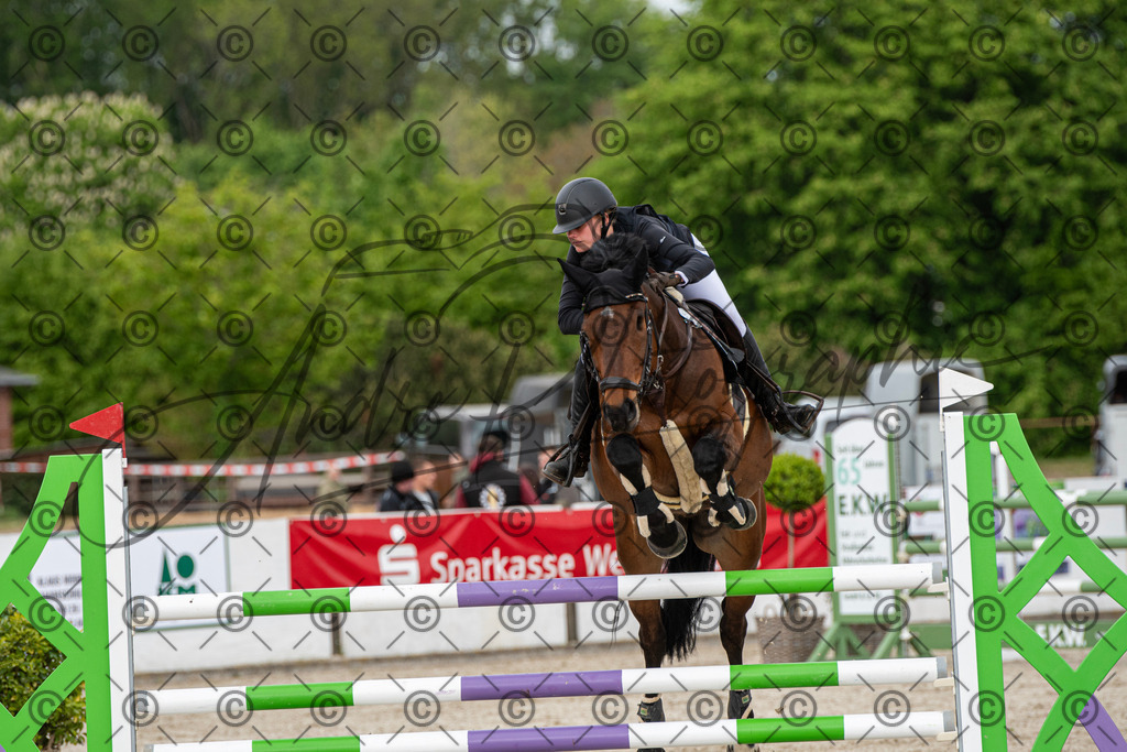 KPT_9910 | andre_photographic