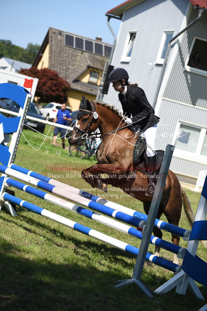 DSC_9462 | Pferde- und Turnierfotografie in Westsachsen. Pferdeportraits, Auftragszeichnungen und intuitive Kunst.