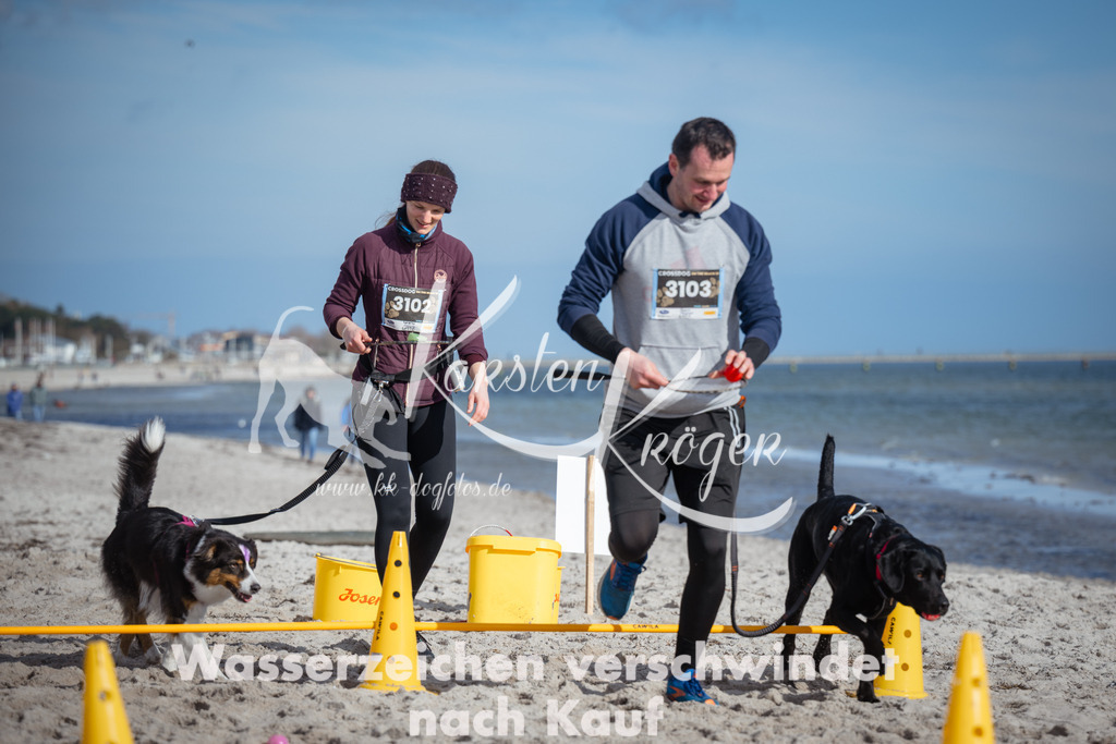 1322_ZZ91486 | kk-dogfotos