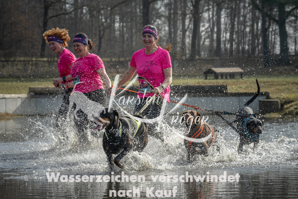 1027_ZZ97582 | kk-dogfotos