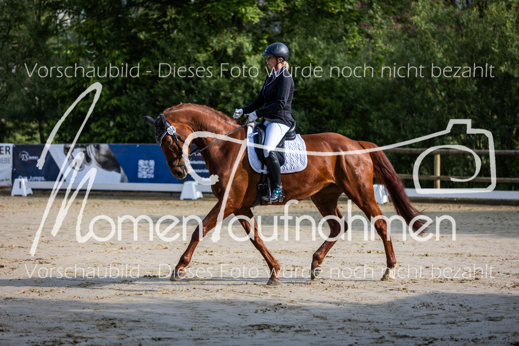 Donop24-A-Dre-015 | MomenTaufnahmen Pferdesportfotos