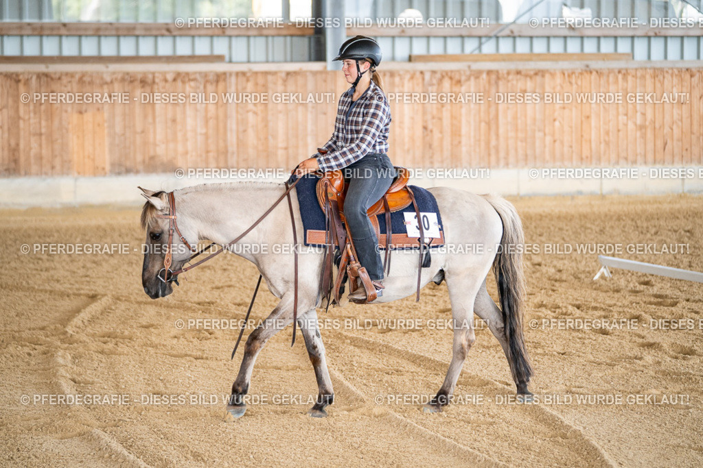 DSC01779 | Pferdegrafie