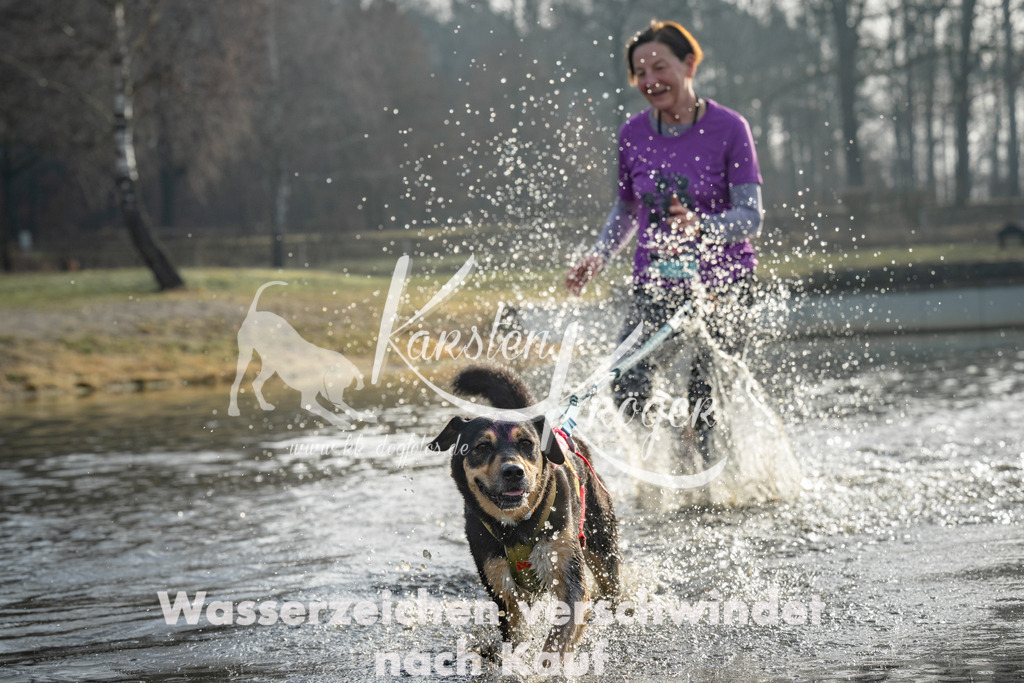 0917_ZZ90690 | kk-dogfotos