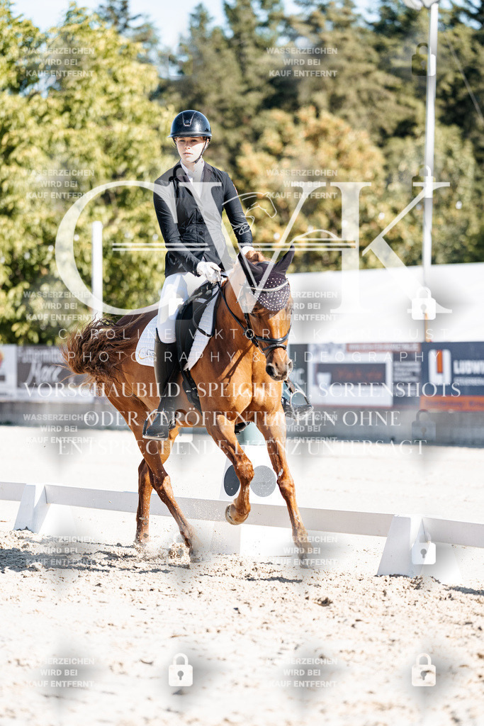 CK907897 | Turnierfotografie Pferdefotografie Trier Rheinland-Pfalz Pferdesport Reitsport Tierfotografie Sportfotografie Pferdevideo Pferdevideografie Equestrianvideography equestrianphotography  - Realisiert mit Pictrs.com