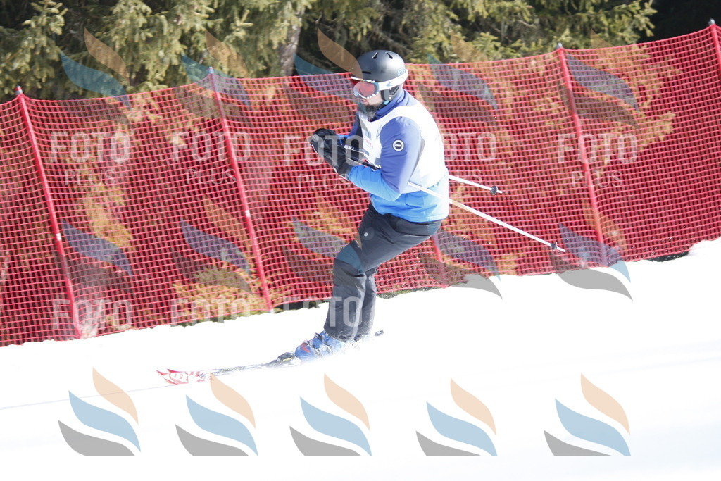 D7286 | holidayphoto