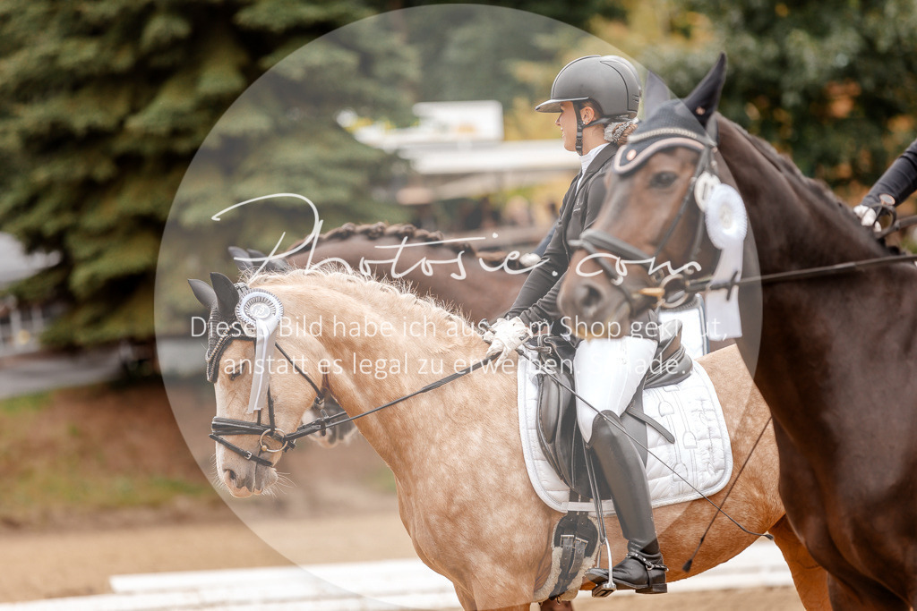 3I6A7970 | Stimmungsvolle Portraits und Reitsportfotografie im Ruhrgebiet und im Münsterland.

Pferdefotografie, Hundefotografie, Tierfotografie, Reportagen, Portraits von Tier und Mensch, Turnierfotografie in Bochum, Recklinghausen, Marl, Haltern am See, Dülmen.. - Realisiert mit Pictrs.com