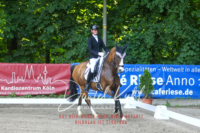 DKP42916 | Turniersportfotografie; Pferdefotografie; Dressurfotografie