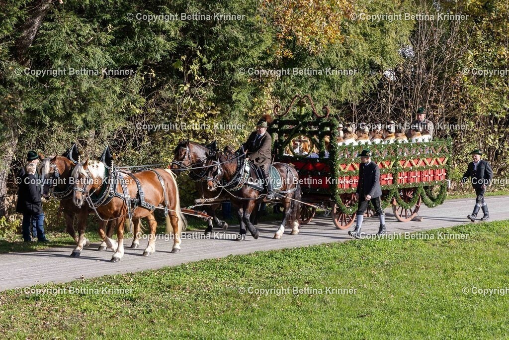 LBT24-212 | foto-bettina-krinner - Realisiert mit Pictrs.com