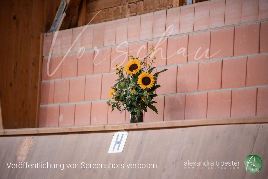 250913_Barop_09_234 | Farbklaex - Turnierfotografie - Realisiert mit Pictrs.com