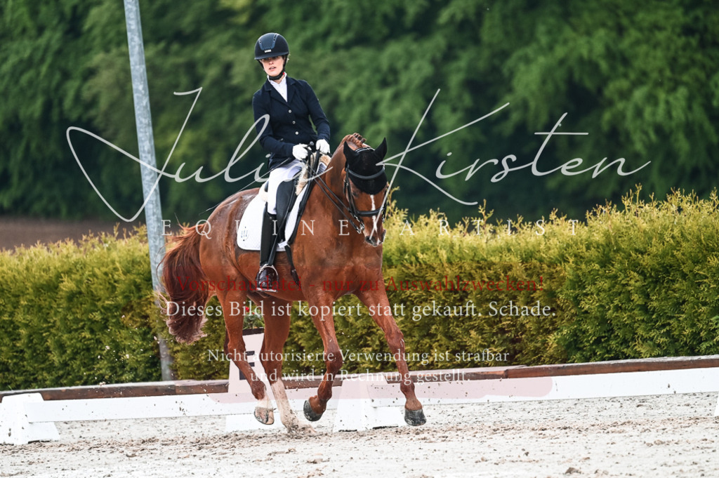 DSC_4247 | Pferde- und Turnierfotografie in Westsachsen. Pferdeportraits, Auftragszeichnungen und intuitive Kunst.