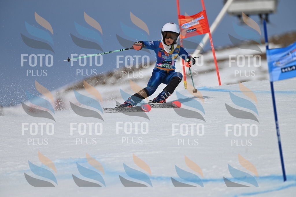 BGV_5971 | holidayphoto