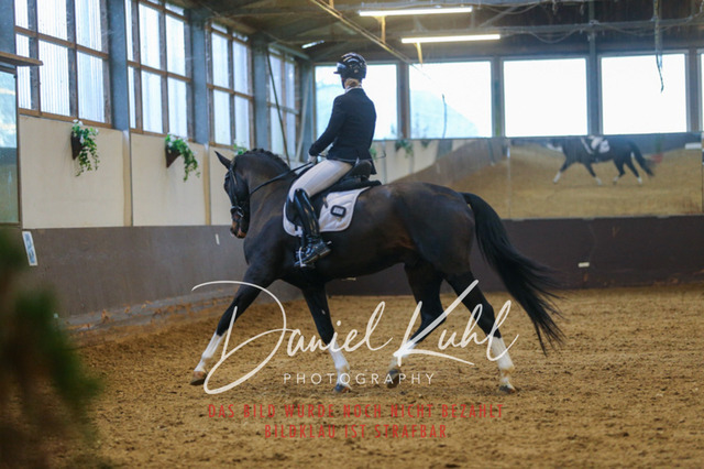 IMG_7229 | Turniersportfotografie; Pferdefotografie; Dressurfotografie