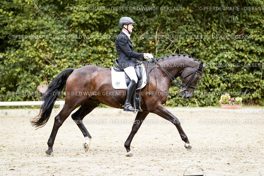 DSC05875 | Pferdegrafie