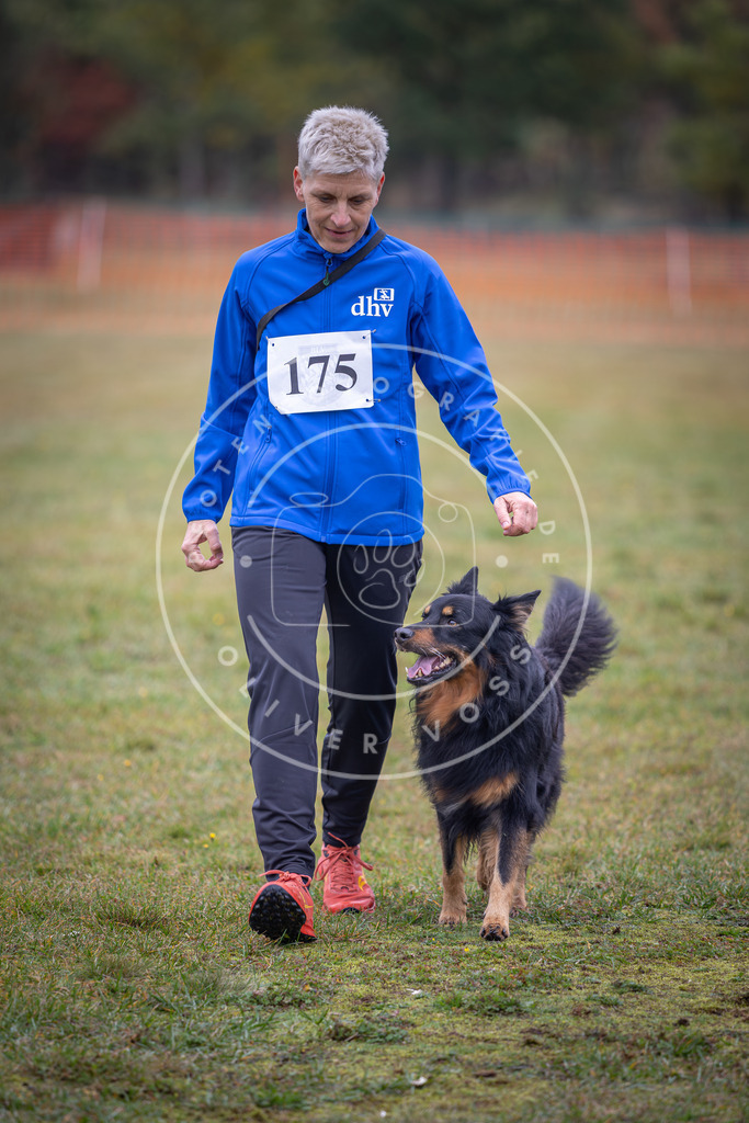 Pfotenfotografie_DV3A9314 | Hundefotografie, Tierfotograf, Pfotenfotografie, Fotoshooting Hund, Hunde Portrait, Hundesport, Hundeportraits, Heideshooting, Hunde, Sportfotograf, Hundefotograf, Turnierhundsport, THS,  - Realisiert mit Pictrs.com