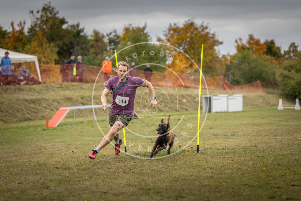 Pfotenfotografie_DV3A8085 | Hundefotografie, Tierfotograf, Pfotenfotografie, Fotoshooting Hund, Hunde Portrait, Hundesport, Hundeportraits, Heideshooting, Hunde, Sportfotograf, Hundefotograf, Turnierhundsport, THS,  - Realisiert mit Pictrs.com