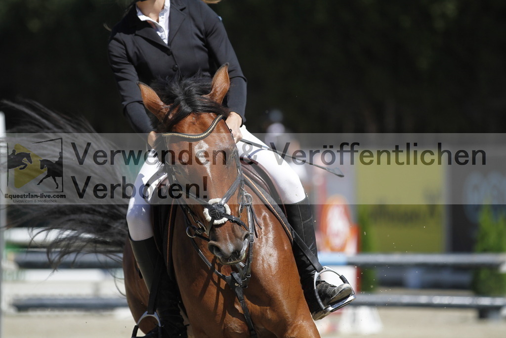 _MG_4802 | equestrian-live-com