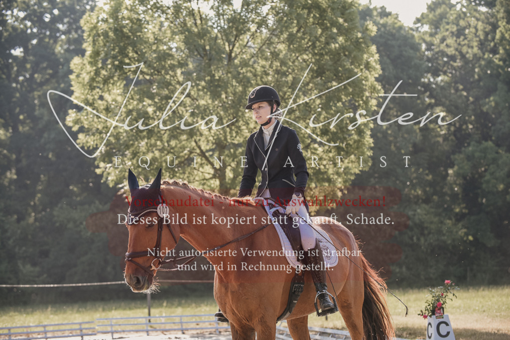 DSC_7754 | Pferde- und Turnierfotografie in Westsachsen. Pferdeportraits, Auftragszeichnungen und intuitive Kunst.