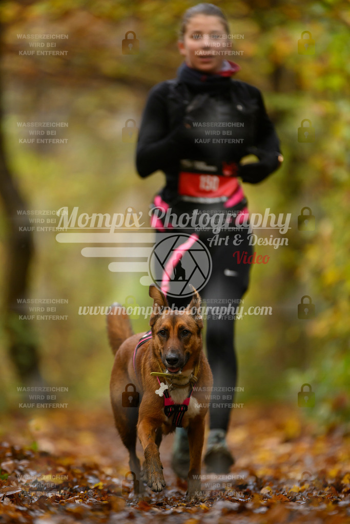 MompixPhotography_CD7S_DI_CCL-173 | mompixphotography