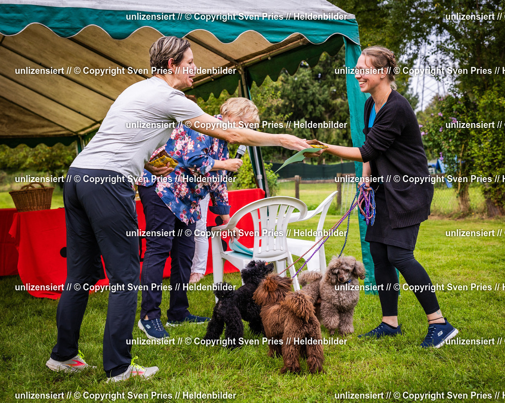 Sven Pries | 2024-09-22 - Hunderennen Baden-BadenPudelverein - Realisiert mit Pictrs.com