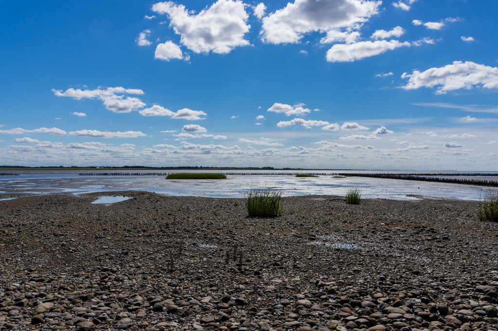 IMGP0447 | Nordseeinsel Mandö - Realisiert mit Pictrs.com