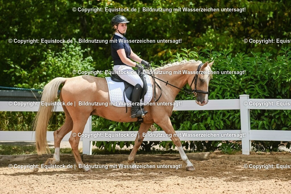 20230715_09_Dressur-WB_0542 | equistock