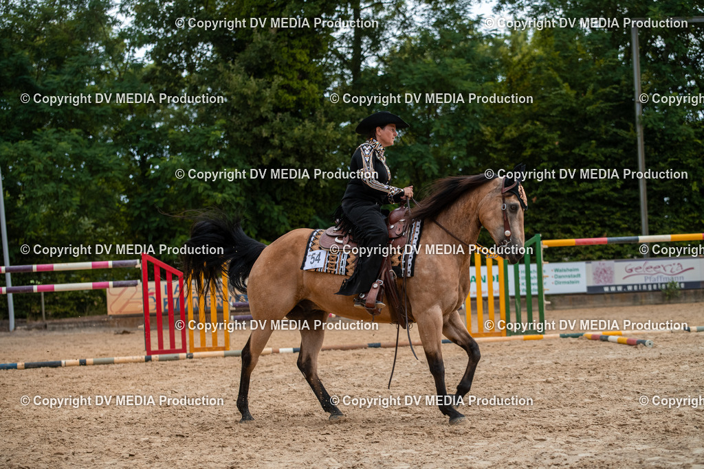 ZS2_7891 | dv-media-shop - Realisiert mit Pictrs.com