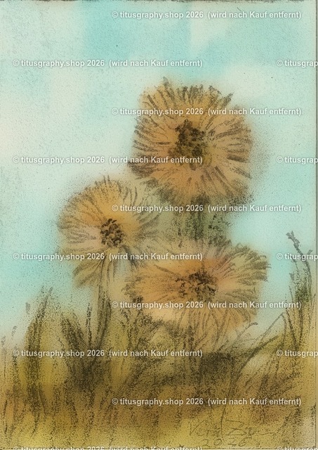 Asterngruß Variation 11 | Zeichnung von Vera Zschecked exclusiv auf titusgraphy.eu - Realisiert mit Pictrs.com