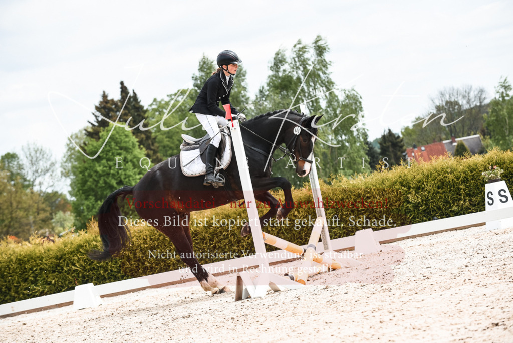 20230518_JK-Röhrsdorf-10-841 | Pferde- und Turnierfotografie in Westsachsen. Pferdeportraits, Auftragszeichnungen und intuitive Kunst.