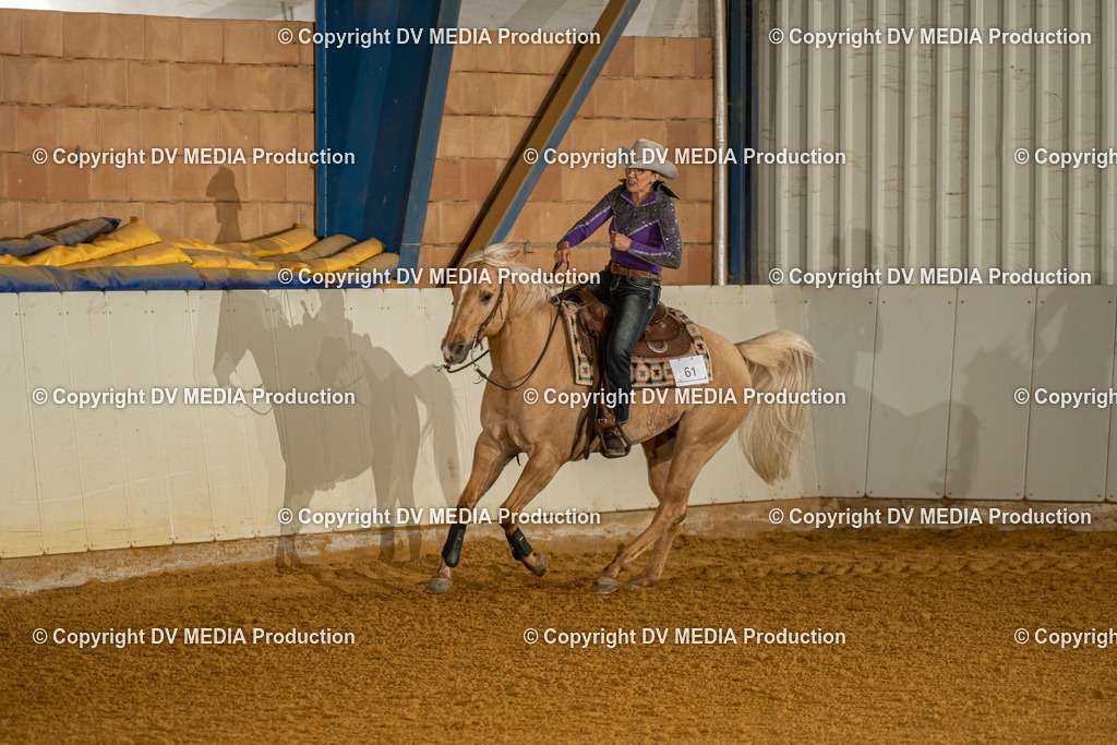 MIT01381 | dv-media-shop - Realisiert mit Pictrs.com