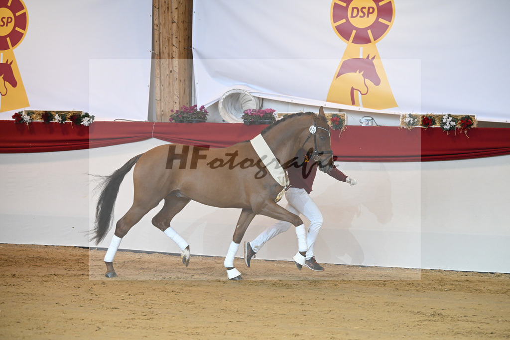 Kat-Nr. 78 Viva Gold_Casper u Eulich_1232185 | hf-fotografie - Realisiert mit Pictrs.com