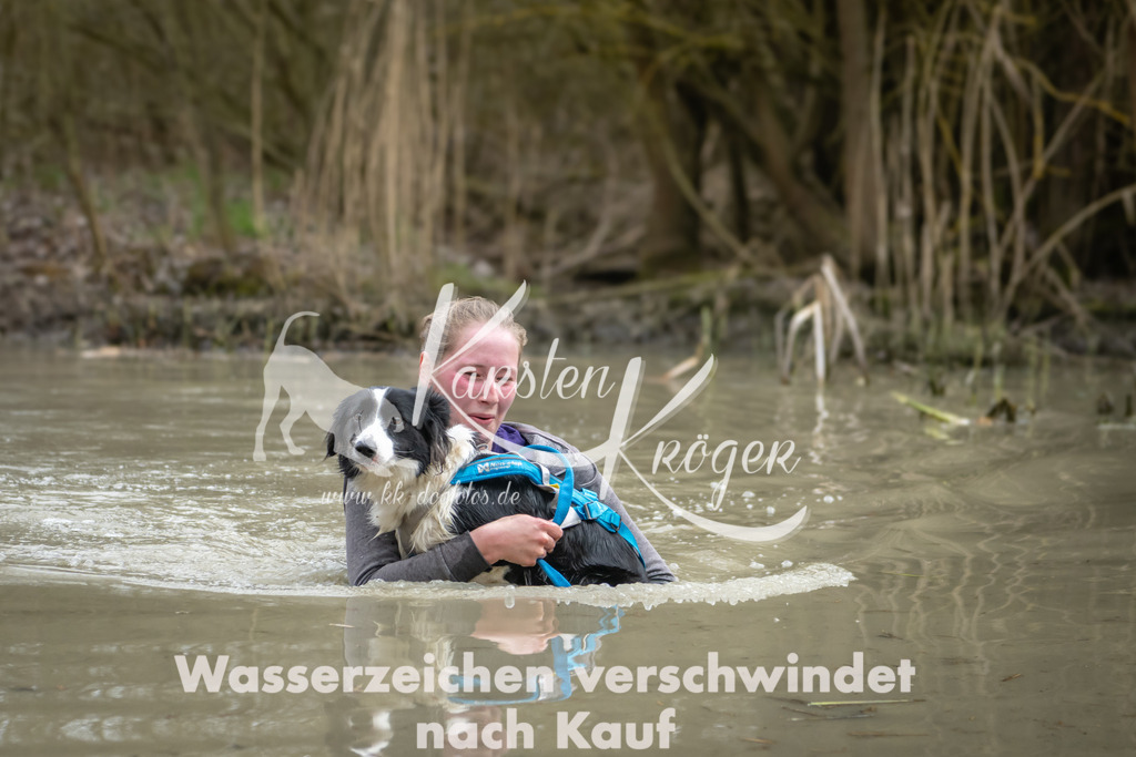 1514_ZZ92569 | kk-dogfotos