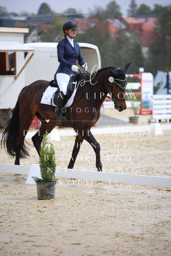 IMGT3091 | pl-fotografie