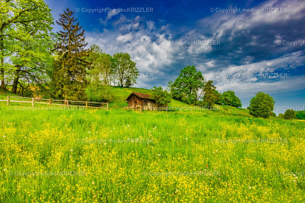 _J3A7704 | Einsame Hütte bei Tacherting - Realisiert mit Pictrs.com