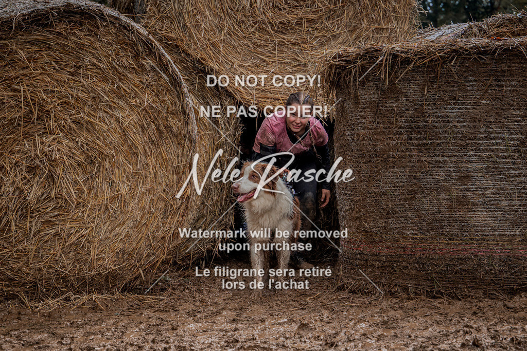 nelerasche_Hunsrück_So12-13_372 | nelerasche
