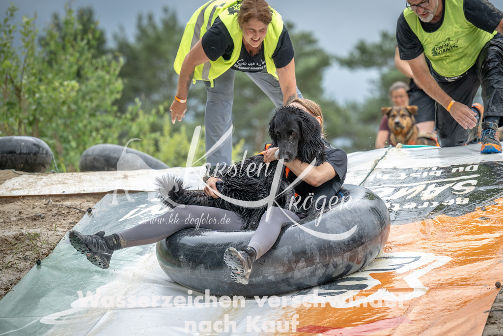 1554_ZZ99264 | kk-dogfotos
