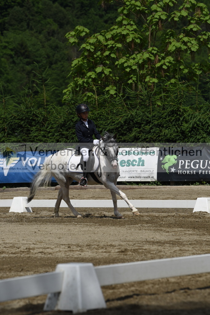 DSC_8784 | equestrian-live-com