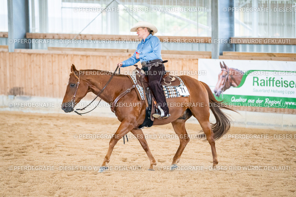 DSC02968 | Pferdegrafie