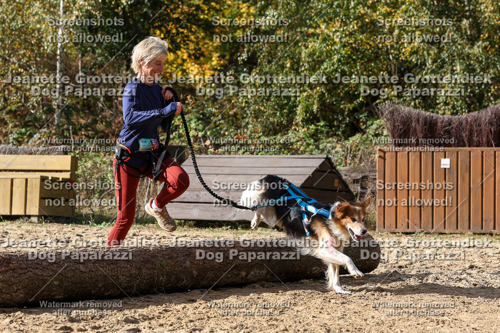 Dog Paparazzi - Strongdog 10-25-5571 | Dog Paparazzi Jeanette Grottendiek Fotografie & Videografie - Realisiert mit Pictrs.com