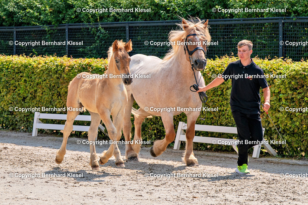 2A900279 | foto-team-bernhard - Realisiert mit Pictrs.com
